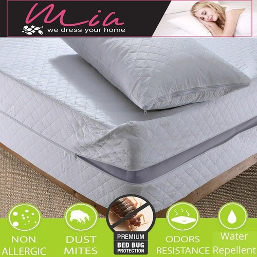 Anti bed bug - bug, mattress